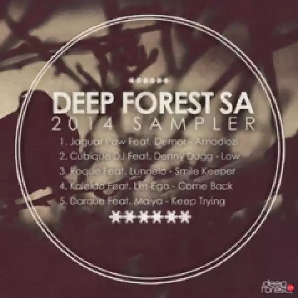 Deepforestsa 2014 Sampler BY Kaleido